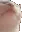 katze
