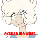 excusemewhat