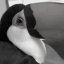 sadjudge