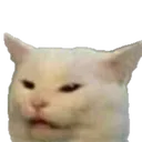 CAt Discord Emoji