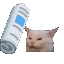 Cathit Discord Emoji