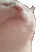 catvibe