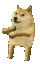 6486_doge