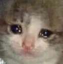 CatSad_9