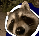 Blanketraccoshant Discord emoji