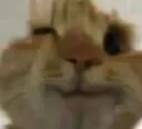 AYS_SusWink
