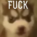 FUCK