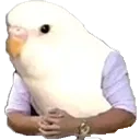 magpieshadtodoittoem