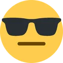 sunglasses2