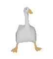 DefaultGoose
