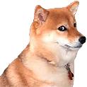 heisenstare_hh Discord emoji