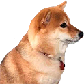 heisenstare2_hh Discord emoji