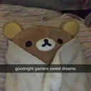 goodnight_gamers Discord Emoji