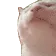 CatRaveReverse