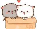 happy_cats