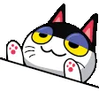 bongopunchy