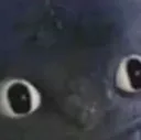 stare