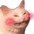 D_CatSmile