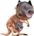 PoggarooFish PoggarooFish