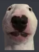 walterwow