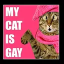 GAYmotherfuckingcat Discord Emoji