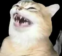 wheeze wheeze