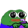 TcPepeShySip