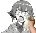 MA_ratshock