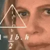 0confusedmathlady