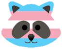 TransRaccoon Discord emoji