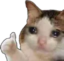 Sadthumbs