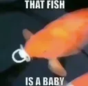 ThatFishIsABaby