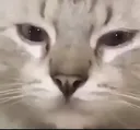 sad_momnt