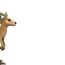 peeporoo