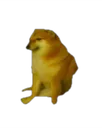 cryingdoge