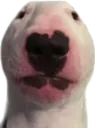 walter walter
