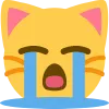 cat_cry