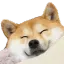 happy_doge_doggo Discord Emoji