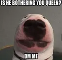 sus