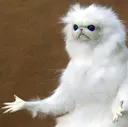 HandsCat_REH