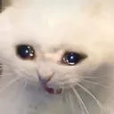 emoji_13