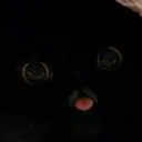 blepcat