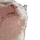 CatJam