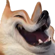 KekPup2