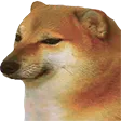 cheems cheems