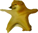 cheems