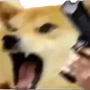 Shalarput