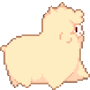 O_paca