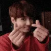 TE_jkheart TE_jkheart
