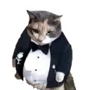 fancymonflip